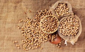 chickpea2