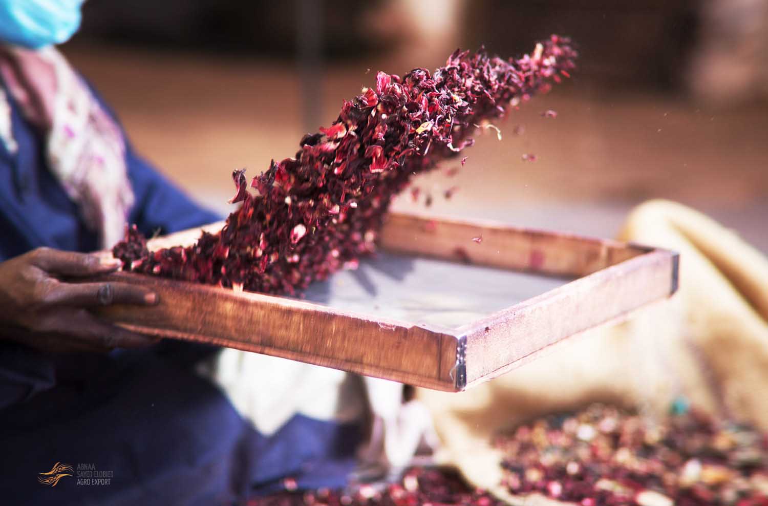 Gum Arabic, grains